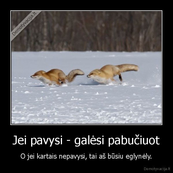 dvi, lapes,zaidzia, gaudyniu