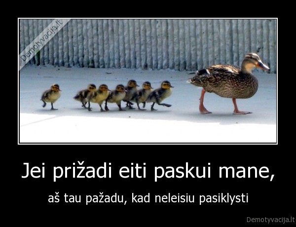 anciukai,gyvenimas,antis,paskui, mane