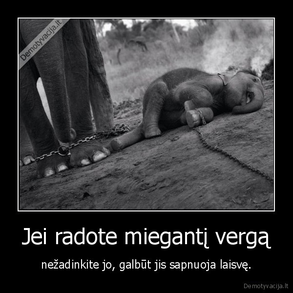 Jei radote miegantį vergą