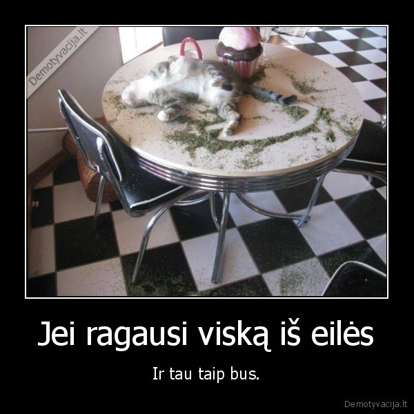 ragauti,zole,katinas