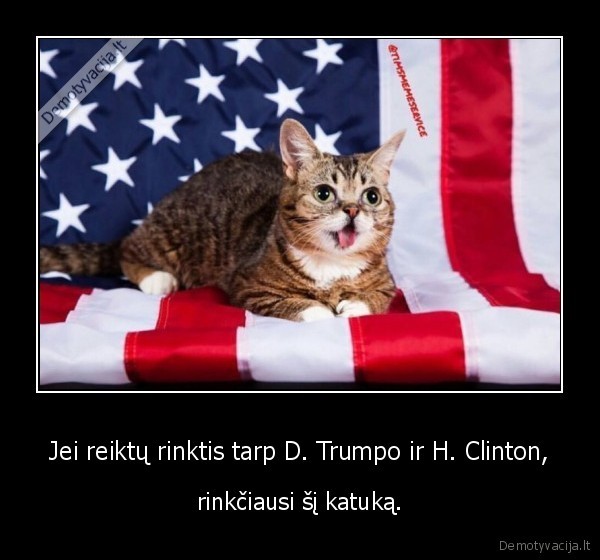 donaldas,trumpas,hillary,clinton,kate,katinas,rinkimai
