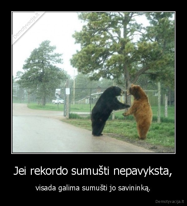 rekordas,sumusimas,meska,lokys