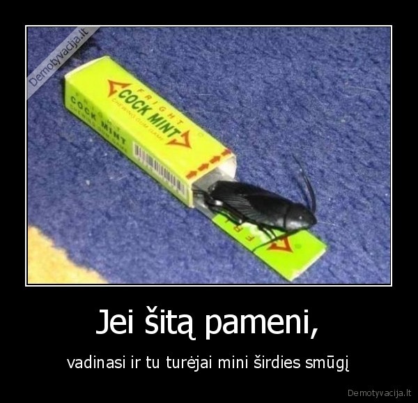 Jei šitą pameni,