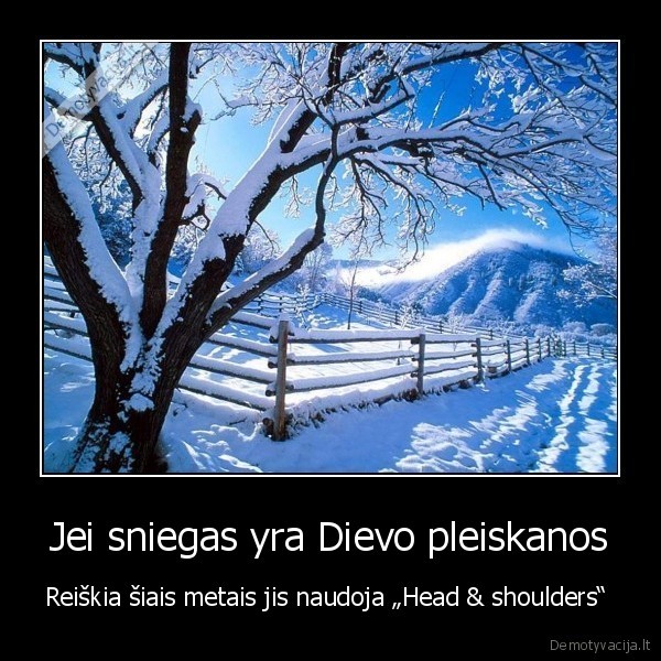 kur, tas, sniegas, blllt