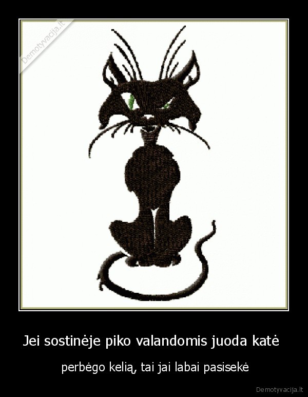 Jei sostinėje piko valandomis juoda katė 