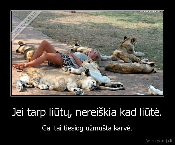 Jei tarp liūtų, nereiškia kad liūtė.