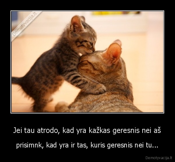 geresnis,idelas,santykiai