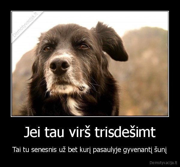 seniausias, suo,amzius