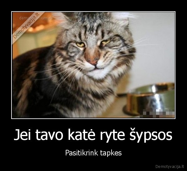 tapkes,primyzo, i, tapkes,kate, sypsosi