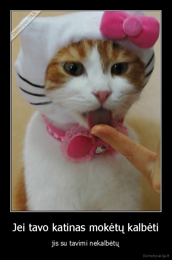 katinas,jis,kalbeti,shpritze