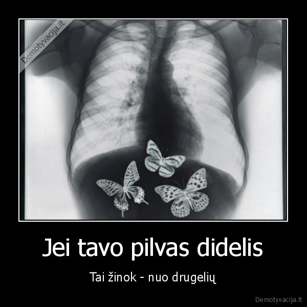 didelis, pilvas,storuliuke,drugeliai, pilve