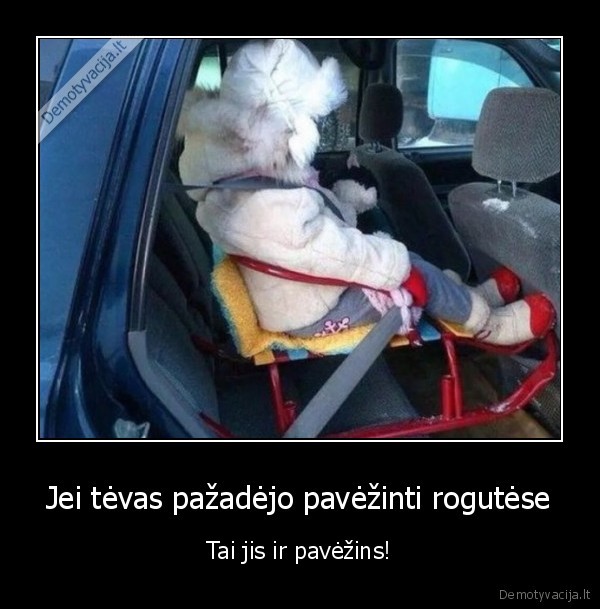 pazadas,rogutes,vaikas