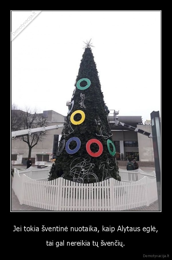 alytaus, egle,negrazi, egle