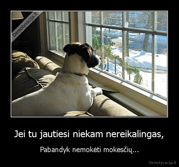 mokesciai,kubilius, tavo, tevo, sunus