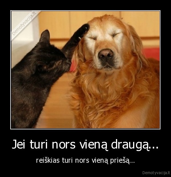 draugai,graugas,zmogus,pazystamas,kaimynas