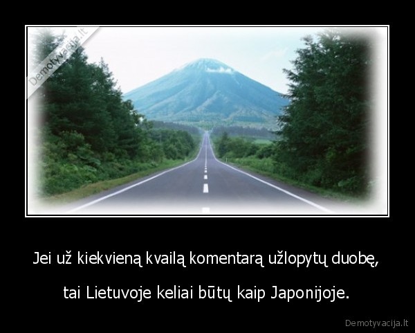 Jei už kiekvieną kvailą komentarą užlopytų duobę,