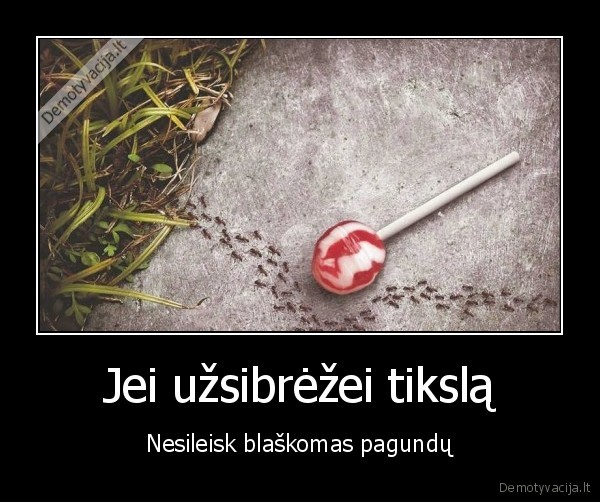 pagundos,tikslas,skruzdeles,ciulpinukas