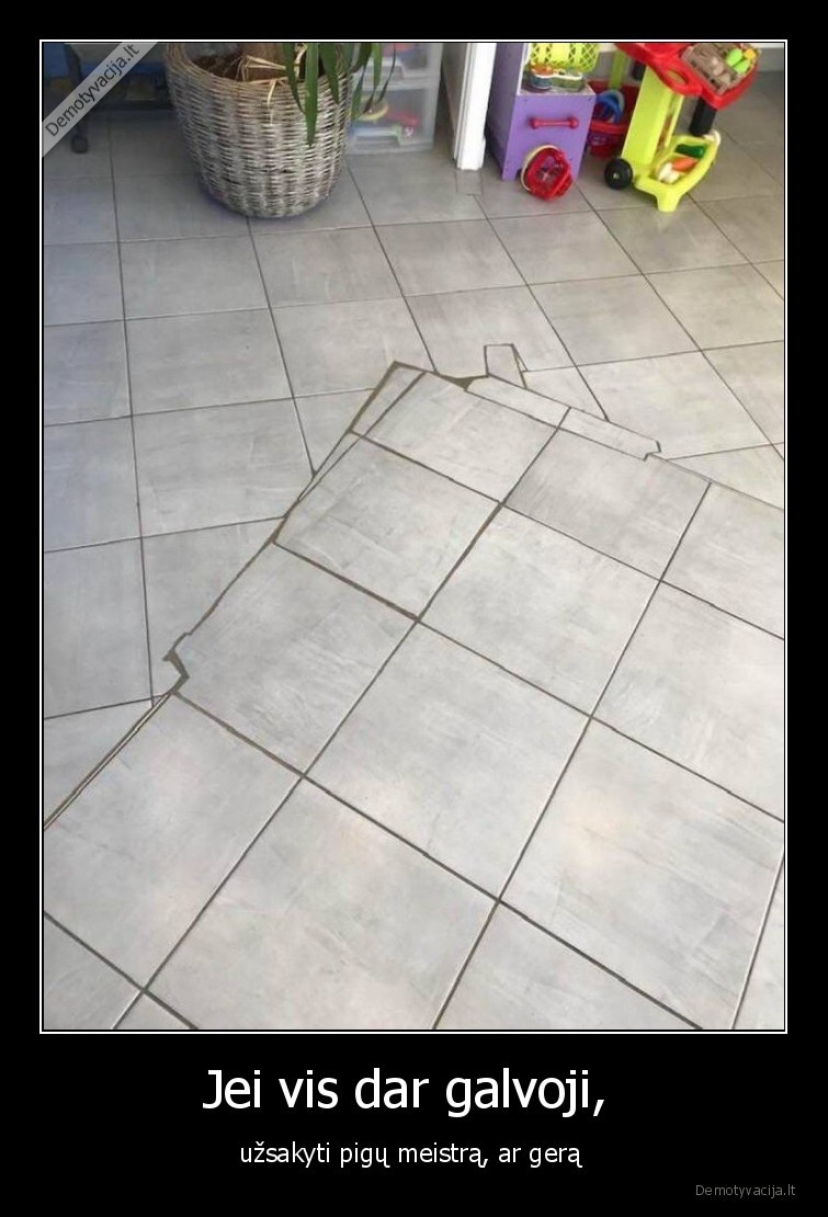 pigu,gera,bloga,plyteles