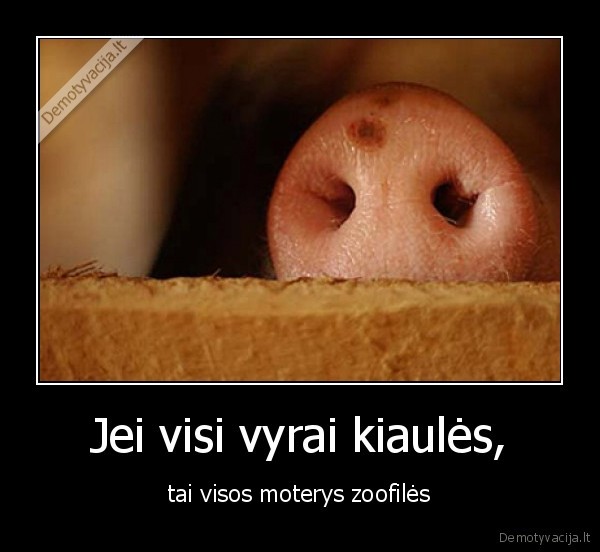 kiaule,snipas,riestanosis