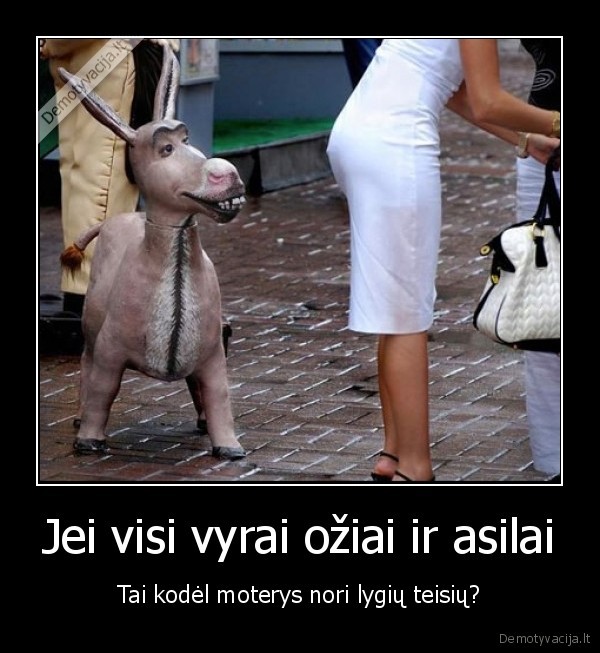 moterys,teises,oziai,asilai