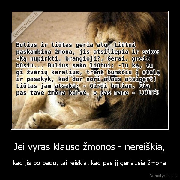 bulius,liutas,meile,liute,karve