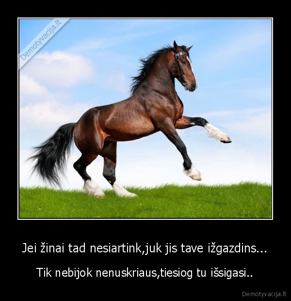 Jei žinai tad nesiartink,juk jis tave ižgazdins...
