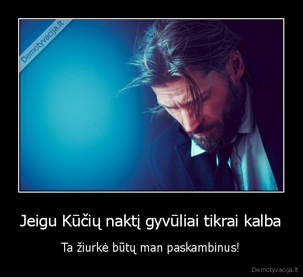 kuciu, naktis,gyvuliai, kalba,juodas, humoras