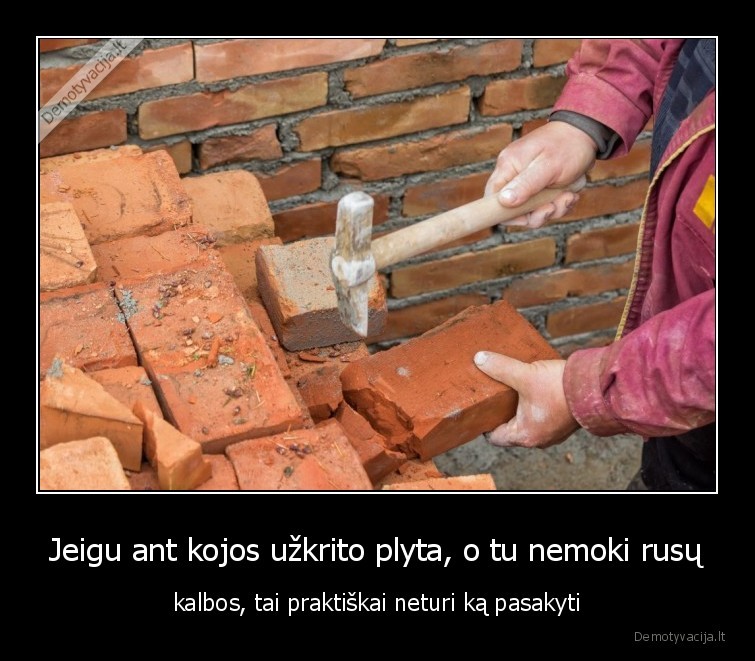 plyta,koja,rusu, kalba,keiksmazodziai