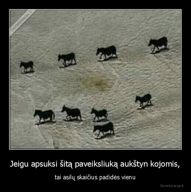 asilas,paveiksliukas