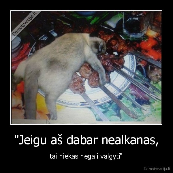 kate,katinas,saslykas,alkis