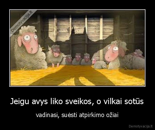 avys,vilkai,oziai,gyvunai