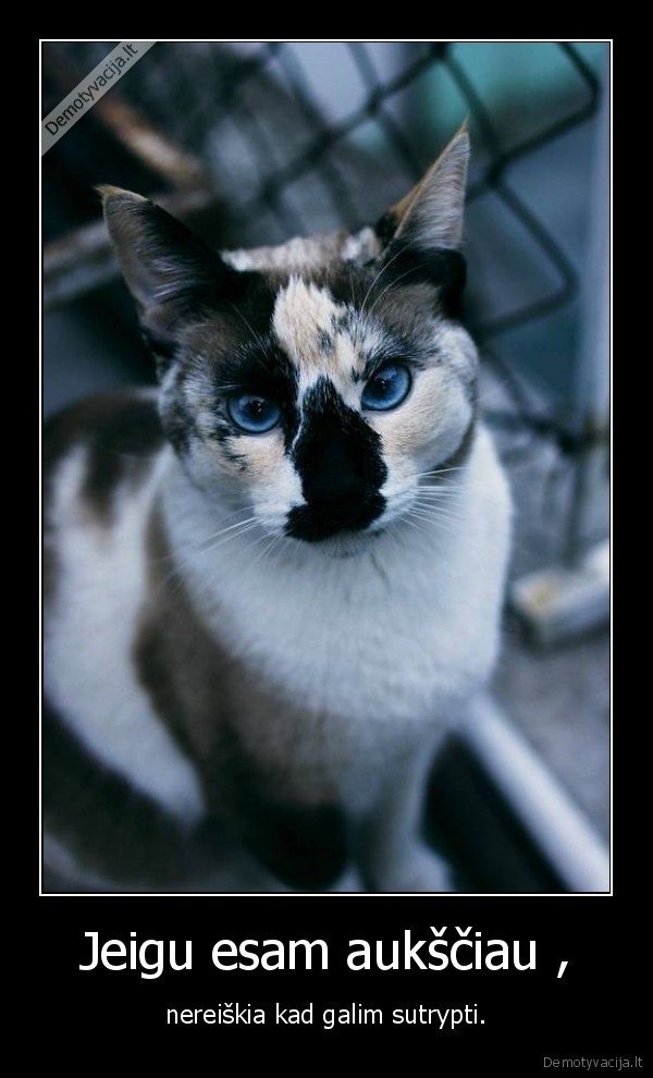 niamuskit, gyvuneliu