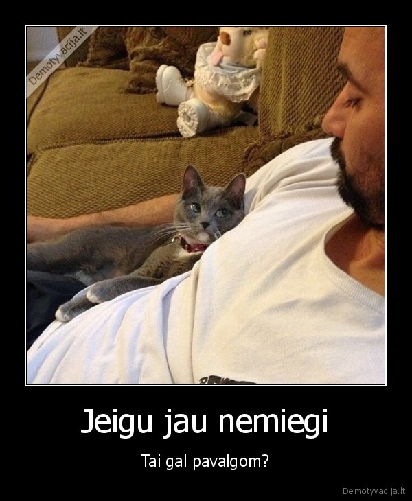 juokingas, katinas,alkanas, katinas