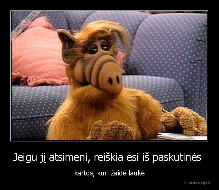 karta,laukas,nostalgija