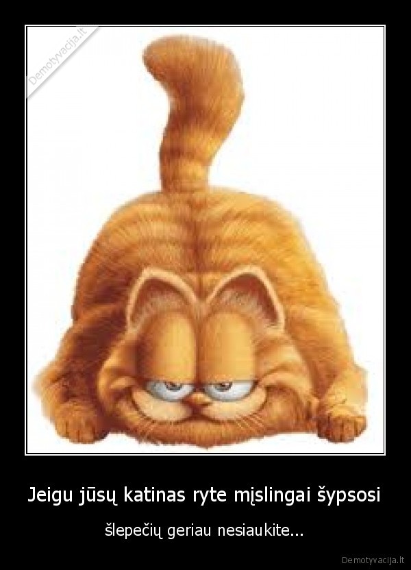 Jeigu jūsų katinas ryte mįslingai šypsosi