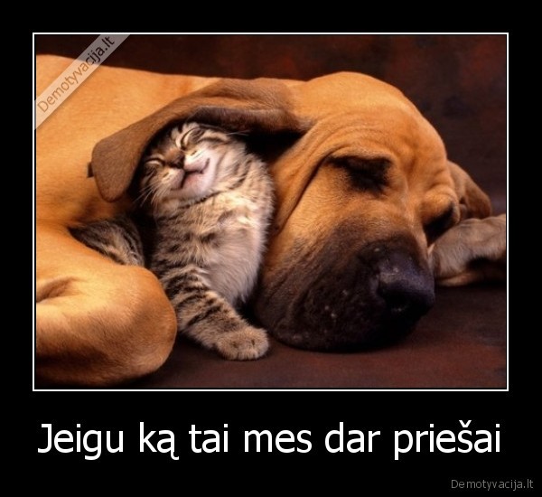 Jeigu ką tai mes dar priešai