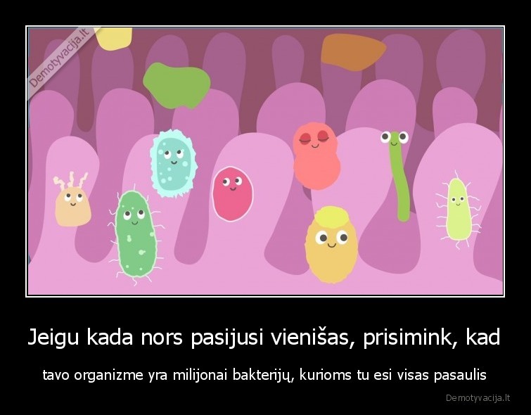 bakterijos,vienisas,niekada