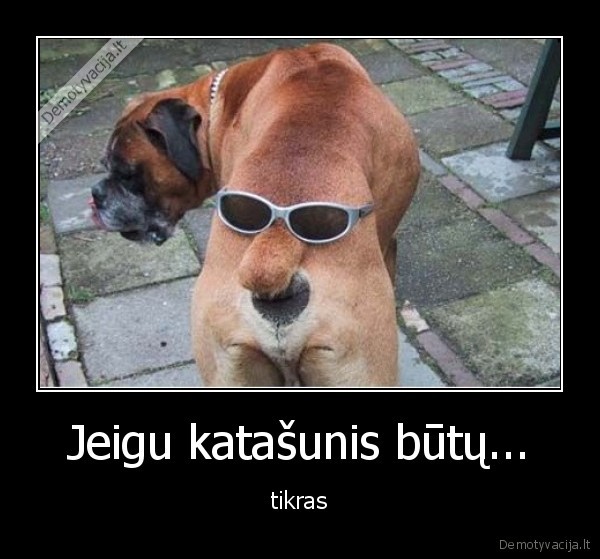 Jeigu katašunis būtų...