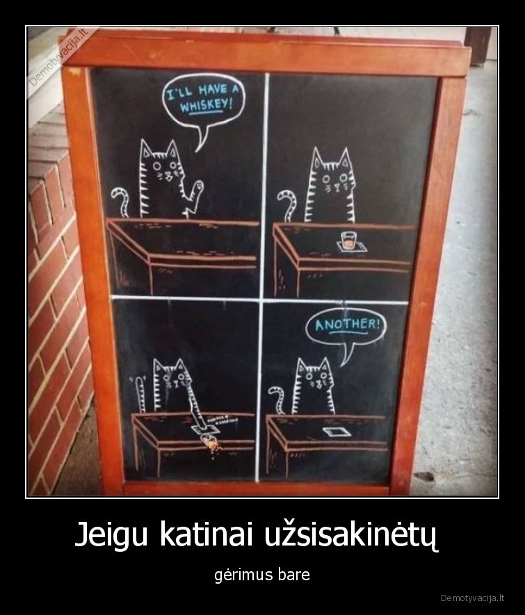 katinai,gerimai,baras,parodijos