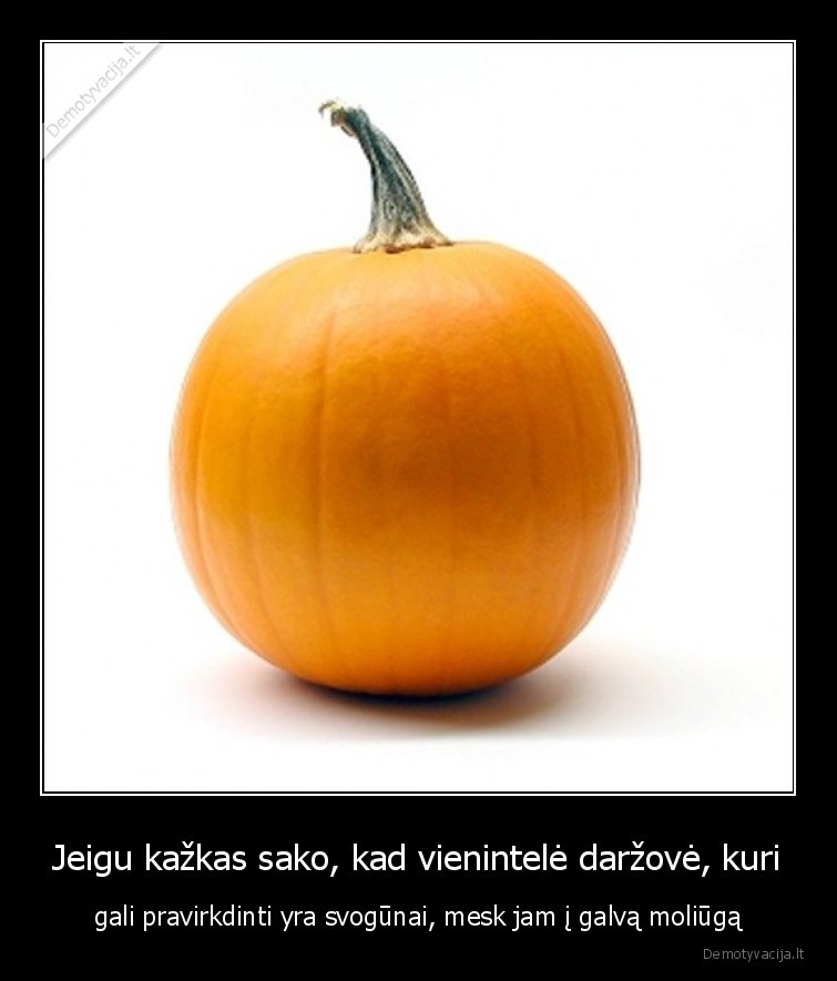 moliugas,darzove,kuri,pravirkdo,svogunai