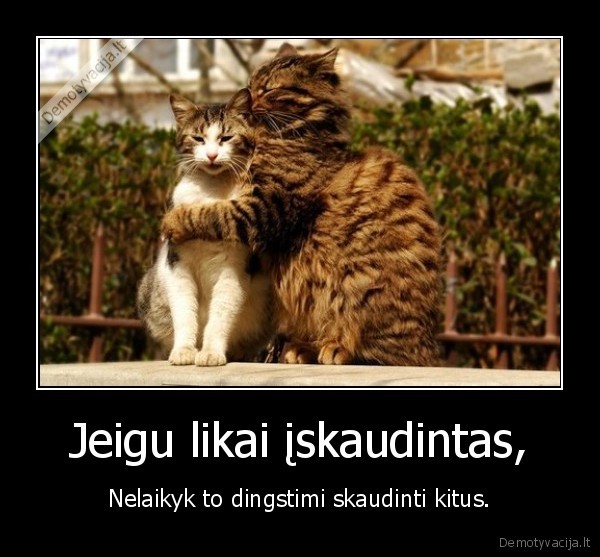 Jeigu likai įskaudintas,