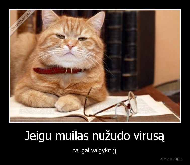 muilas,virusas,katinas,protingas