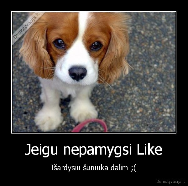 jeigu, kaciukas, poxui, tai, bent, jau, suniuko, pagailekit