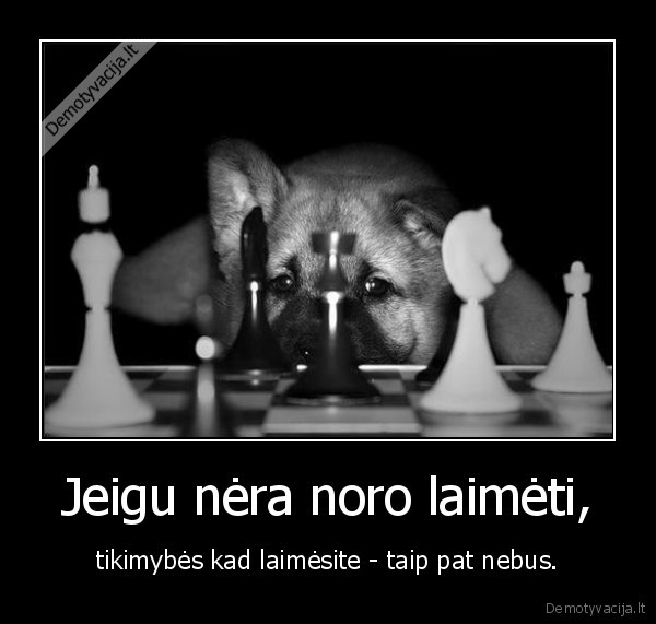 laimeti,zaidimas,sachmatai,tikimybe,noras