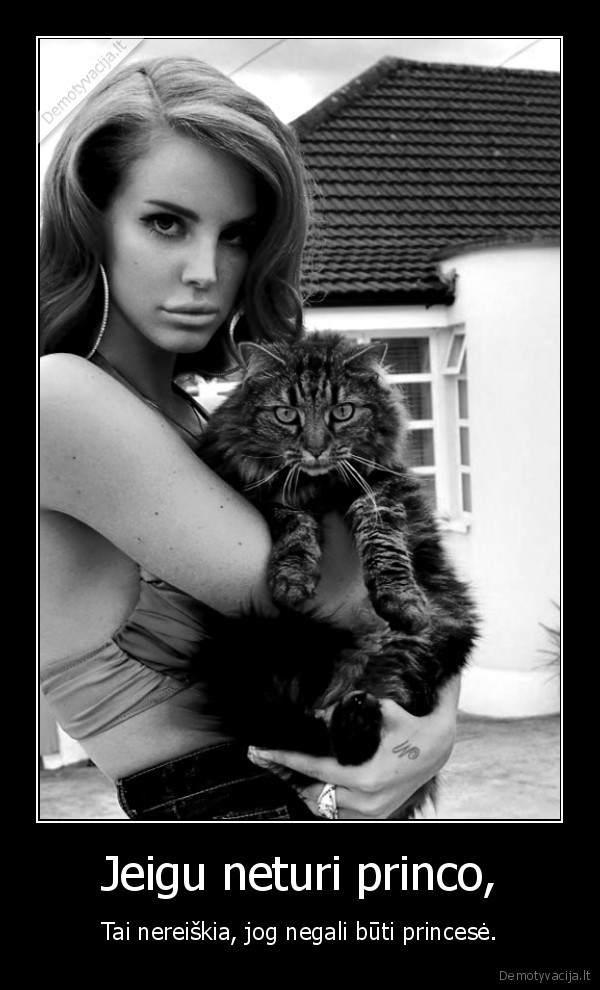 Jeigu neturi princo,