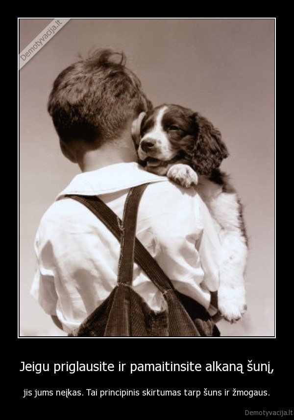 Jeigu priglausite ir pamaitinsite alkaną šunį,