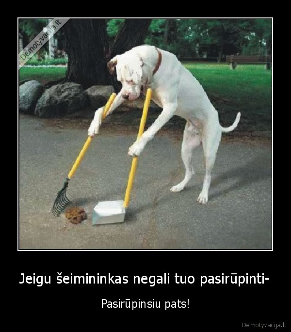 Jeigu šeimininkas negali tuo pasirūpinti-