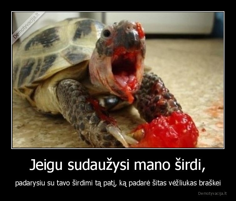 vezliukas,sirdis,meile,sudauze