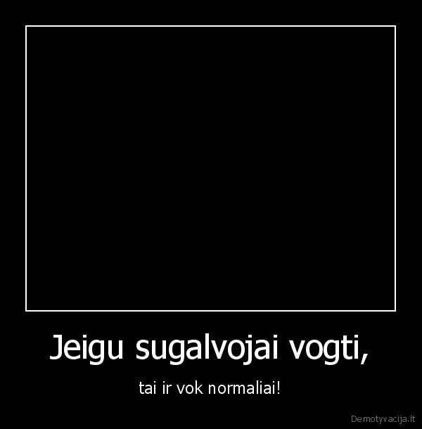 vagis,vagyste,kvailiai,nusikalteliai,ekspertai,vagysciu, profesionalai