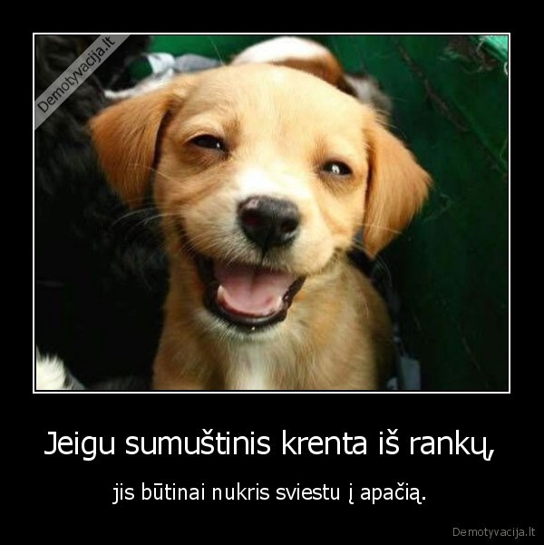 Jeigu sumuštinis krenta iš rankų,